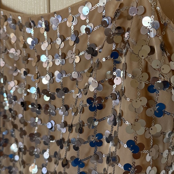 ZARA Sequin Mini Dress - Picture 8 of 12